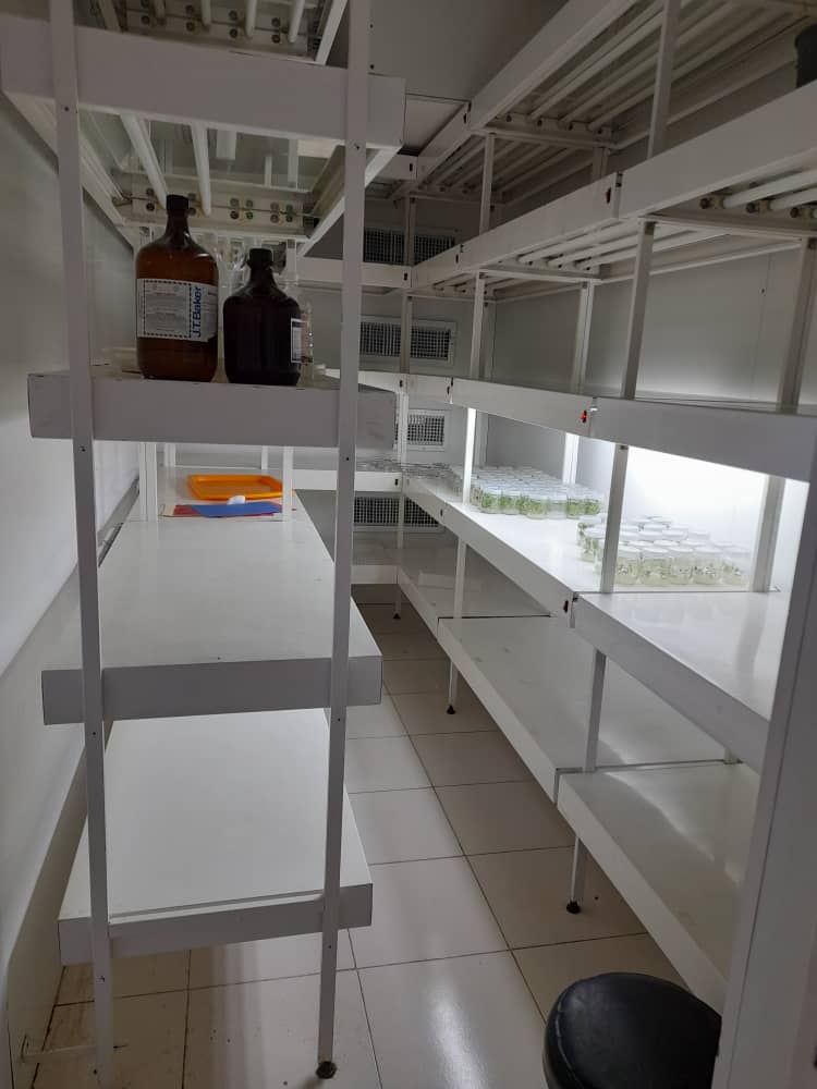 اتاق رشد آزمایشگاه فیزیولوژی گیاهی