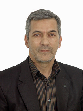 محمدحسین توکلی